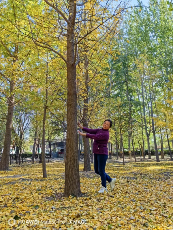 Shirley的第四张照片--陕西交友中心